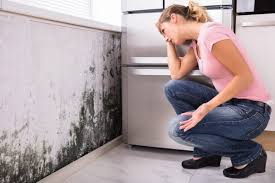 Best Mold-Related Health Consultation in USA